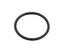 TVS O-RING (YAG FILTRESI)